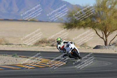 media/Feb-04-2023-SoCal Trackdays (Sat) [[8a776bf2c3]]/Turn 4 (Tree of Life 2pm)/